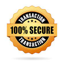 secure online payment badge | K3N Ventures